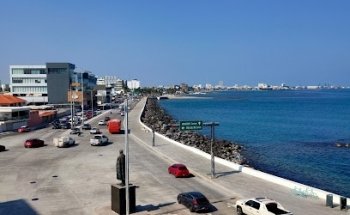 Iguana's Vacation Veracruz