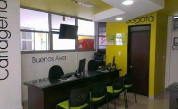 Palma de Cera Calarcá Agencia de Viajes