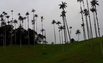 Colombia Travel Operator