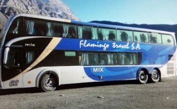 Flamingo Travel S.A.