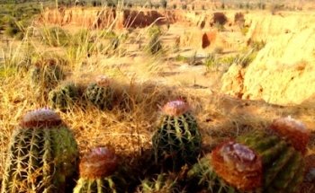 Turismo Ximena Gómez