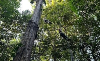 Amazonas para viajeros