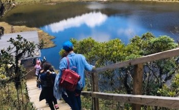 AGENCIA OPERADORA DE VIAJES GONZALEZ TOURS