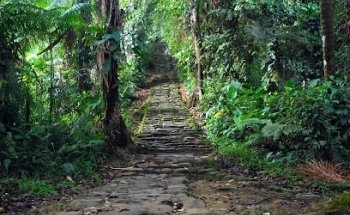 Tour guides and scouts, the Tour Operator to Lost City