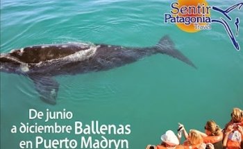 Sentir Patagonia Travel