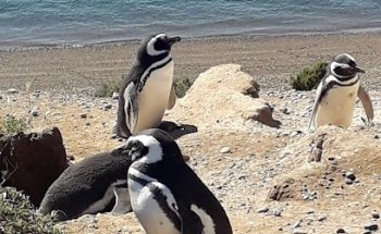 Argentina Vision Travel Services