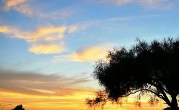 Charata - Viajes Y Turismo