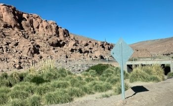 Ricky Viñas Viajes y Turismo