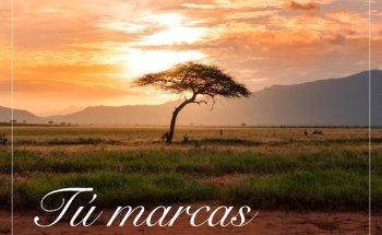 Travel Expert by Javier Garitaonandia