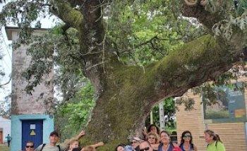 Viajes Travel-Ocio JC