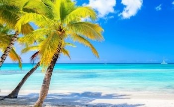 Auchan voyages Englos