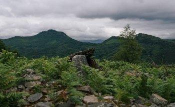 Hernani ezagutu/Plazara gunea