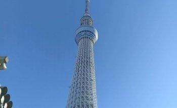 Viajes Moya Travel SL