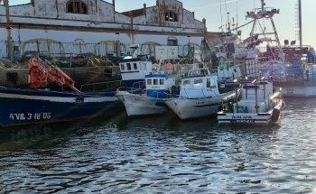 Excursiones en barco Isla Cristina