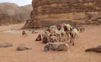 BELINDA- BIENESTAR Y OCIO. ONLINE