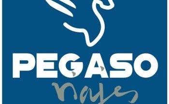 Viajes Pegaso