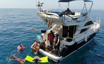 Dolphins, boat Tríp, Keeper Uno Islas Canarias