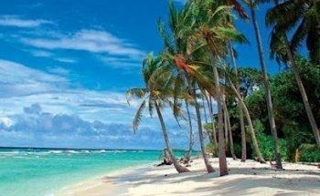 Vocazione Vacanze