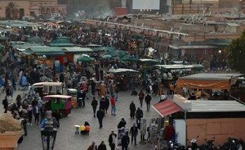 Viajes Doncel Palma del Río