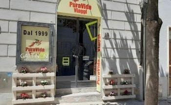 Puravida Viaggi