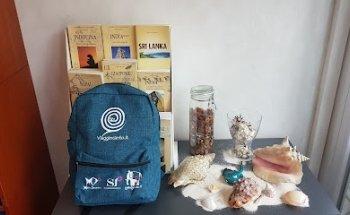 Viaggincanto