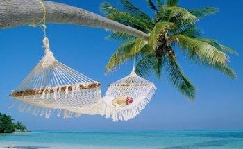 I VIAGGI DEL CARLINO