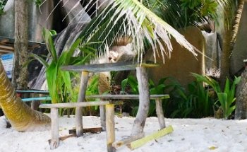 Agence Havas Voyages