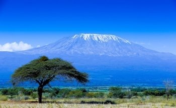 LES COMPTOIRS DU MONDE