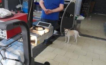 Viaggiare Sicuri Sas Di Boccia Ciro & C.