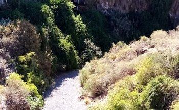 Atlantic Dolphin Travel