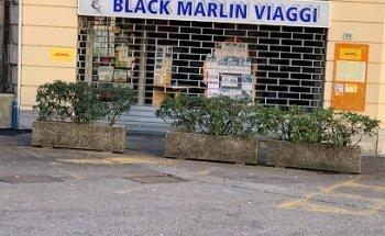 Black Marlin Viaggi di Marlin sas