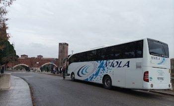 Viola srl Dei F.lli Viola