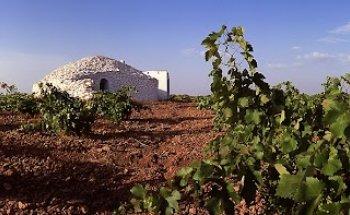 Oficina de Turismo de Tomelloso