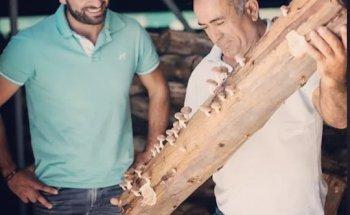 Spain Farm Experiences & Tours