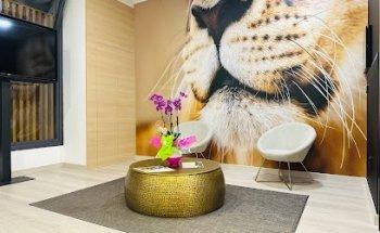 Zafiro Tours Gondomar