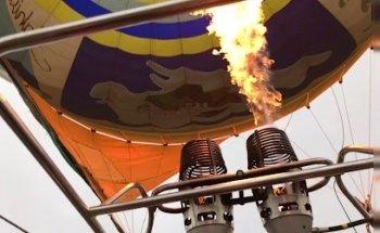 DMC Spain - NEOKONCEPTS