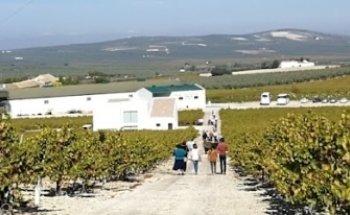 Turismo de Moriles (Turismoriles)