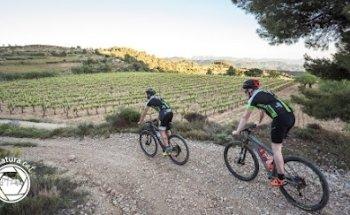 Pedals del Priorat