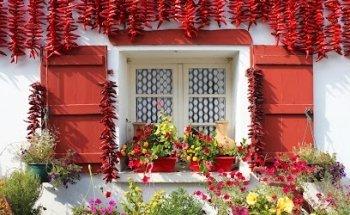 Go Basque. Guided Tours around the Basque Country