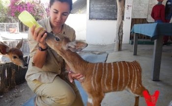 Talkenglishafrica.com