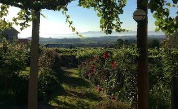 North West Iberia Wine Tours