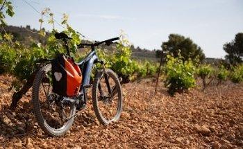 Diània Experiències