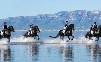 Orange Blossom Travel/Azahar Adventures