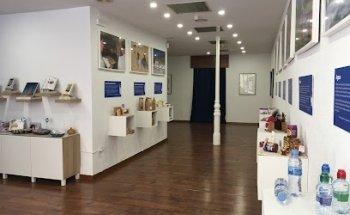 Siguenza Guided Visits