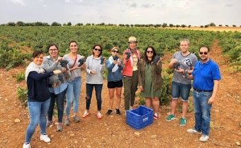 Colorful Wines - Wine Tours Madrid