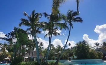 Amakas Boutique Travel Agency