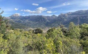 More of Mallorca