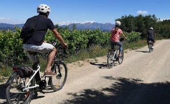 Bikemotions: Bike Tours & Bike Rentals