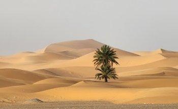 Marruecos Sahara Travel