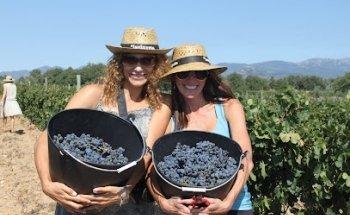 Gourmand Breaks Wine, Food & Cultural Tours